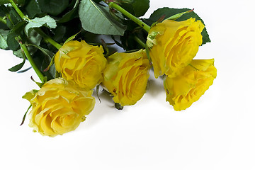 Image showing yellow roses