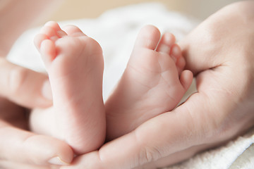 Image showing Parent holding his newborn baby\'s feet 