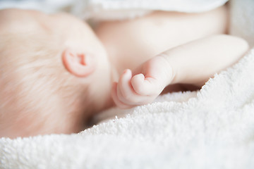 Image showing Sleeping newborn baby covered with white blanket.