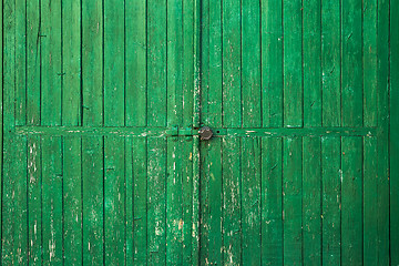 Image showing Old wooden gate green