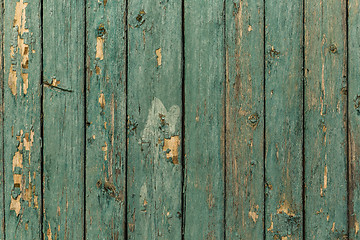 Image showing Old wood texture with peeling green paint