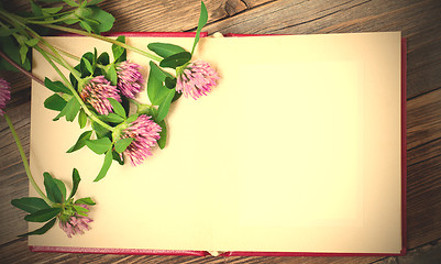 Image showing blank page of the old album and flowers