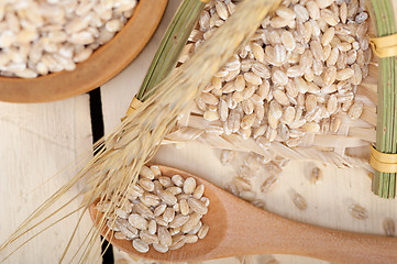 Image showing organic wheat grains 