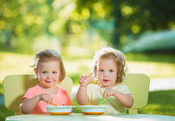 Image showing Two little girls sitting at a table and eating together against green lawn