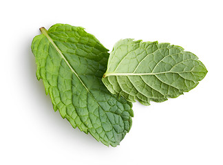 Image showing fresh green mint leaves