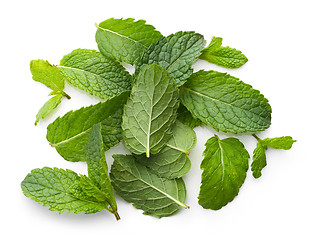 Image showing fresh green mint leaves