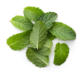 Image showing fresh green mint leaves