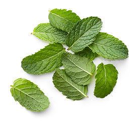 Image showing fresh green mint leaves