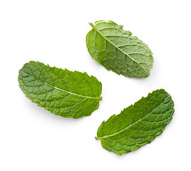 Image showing fresh green mint leaves