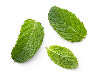 Image showing fresh green mint leaves