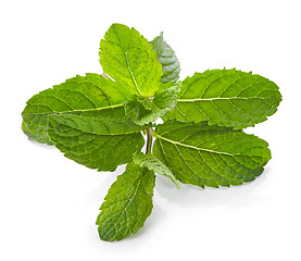 Image showing fresh green mint leaves