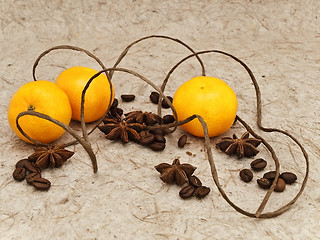 Image showing Mandarins