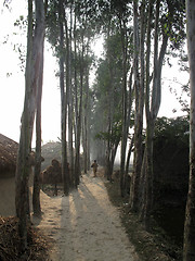 Image showing Bengali village