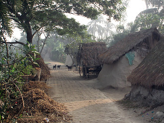 Image showing Bengali village