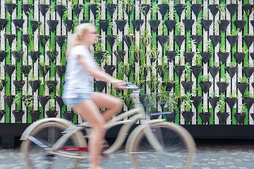 Image showing Woman riding bycicle by green urban vertical garden wall.