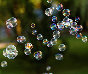 Image showing Soap bubbles