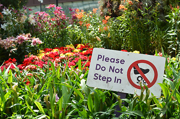 Image showing Please do not step in sign in Gardens by the Bay