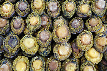 Image showing Dried abalone