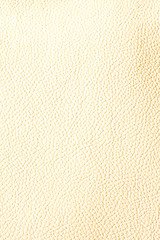 Image showing Leather beige