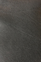 Image showing Leather black
