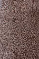 Image showing Leather brown