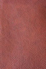 Image showing Leather burgundy