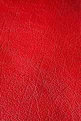 Image showing Leather red