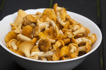 Image showing girolles