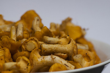 Image showing chanterelles