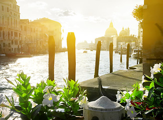Image showing Flowers near the Grand Canal