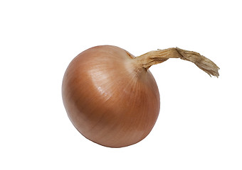 Image showing onion