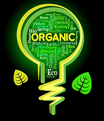 Image showing Organic Lightbulb Represents Nature Rural And Environmental