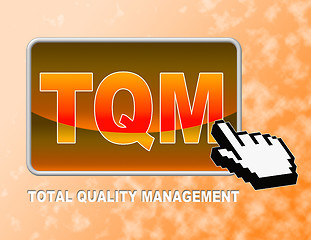 Image showing Tqm Button Indicates Total Quality Management And Control