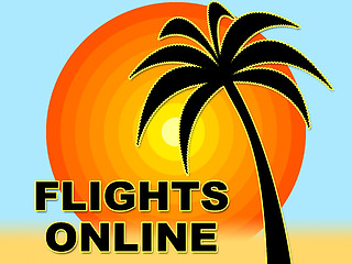 Image showing Flights Online Means Web Site And Aircraft
