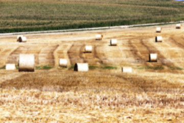 Image showing haystacks in a field of straw  