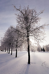 Image showing Winter Park  with snow.