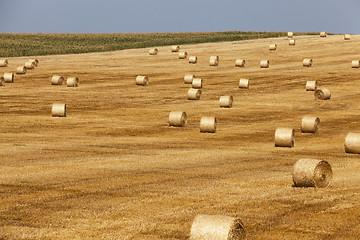 Image showing haystacks in a field of straw  