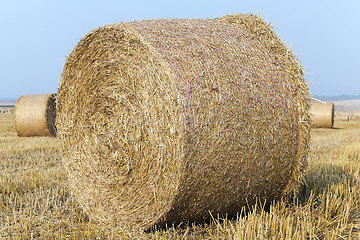 Image showing haystacks in a field of straw  