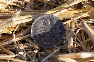 Image showing cereal farming field  