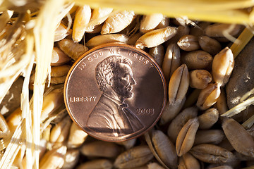 Image showing coin in the straw  