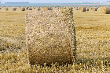 Image showing stack of straw in the field 