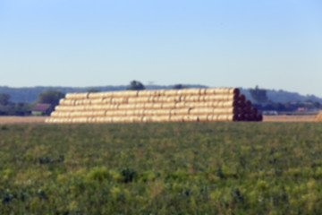 Image showing stack of wheat straw  