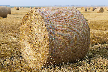 Image showing stack of straw in the field  