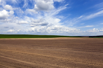 Image showing plowed field. sky  