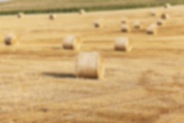 Image showing agriculture, not in focus  