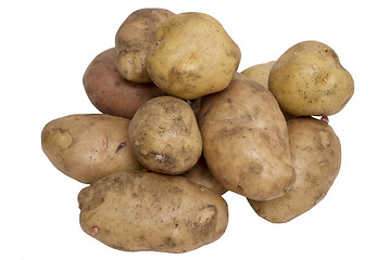 Image showing potato