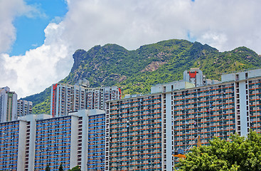 Image showing hong kong public estate with landmark lion rock