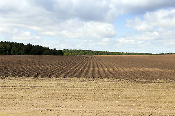 Image showing plowed land, furrows  