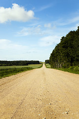 Image showing Spring road ,  countryside 