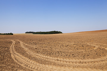 Image showing plowed land, summer 
